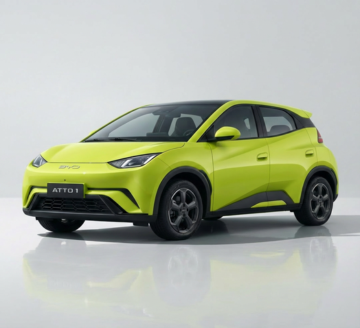 BYD ATTO 1 Accessories