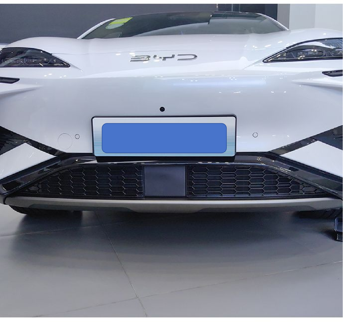 BYD Sealion 7 EV front grille with insect screen installed
