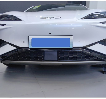 BYD Sealion 7 EV front grille with insect screen installed
