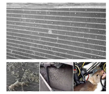 BYD Sealion 7 EV grille insect screen mesh detail close up

