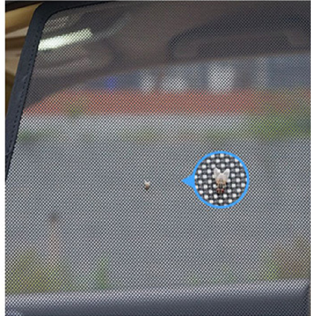 BYD Sealion 7 window sunshade mesh fabric close up
